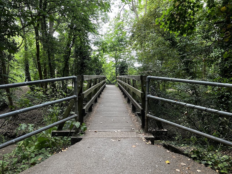 Hogsmill River Walk