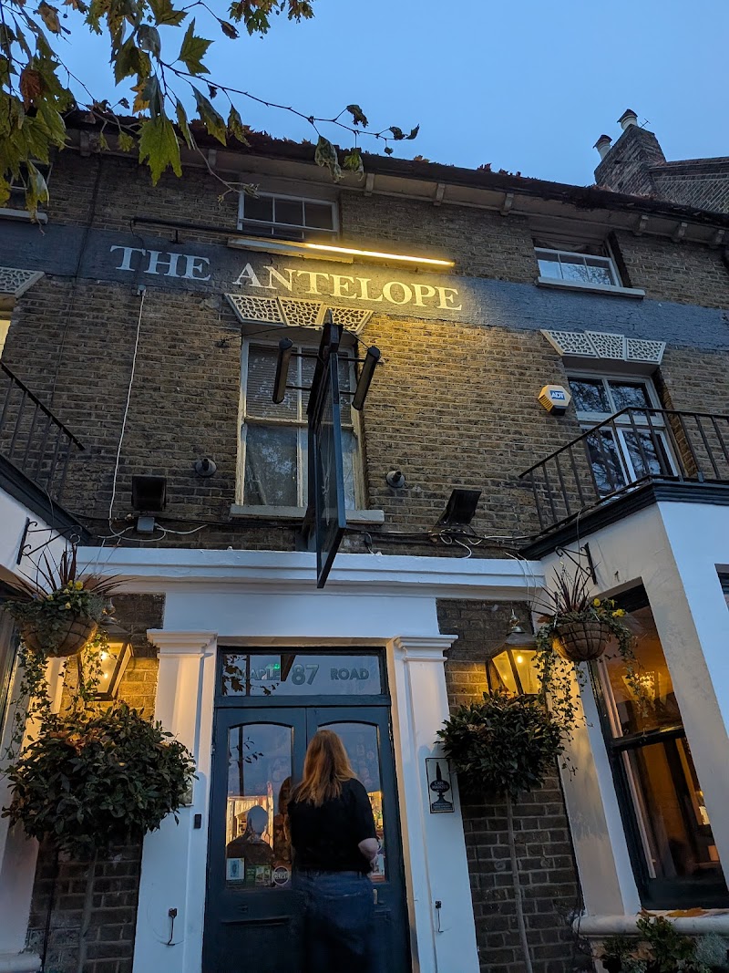 The Antelope - Photo 4